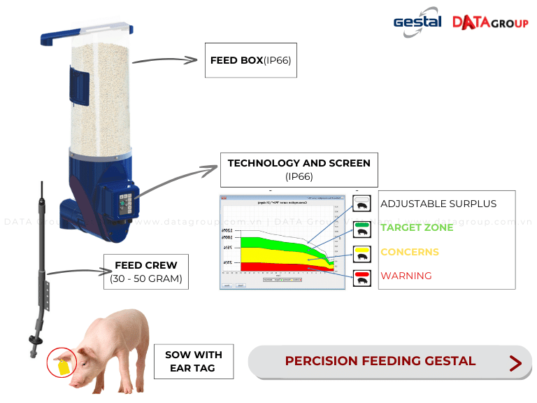 GESTAL - DATA 