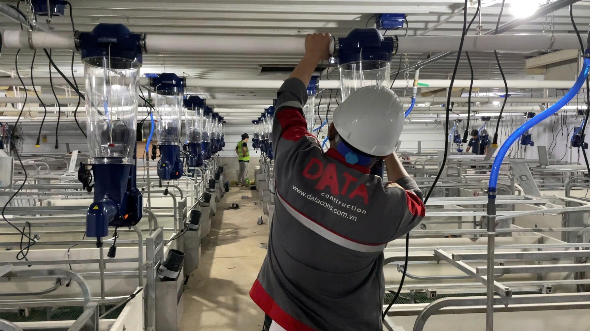 Thiet bi cho heo an chinh xac Gestal